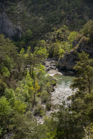 France, Alpes-de-Haute-Provence (04), Parc Naturel Régional du Verdon, Rougon, Grand Canyon du Verdon, la rivière du Verdon dans le couloir Samson et le début du sentier Blanc-Martel sur le GR4