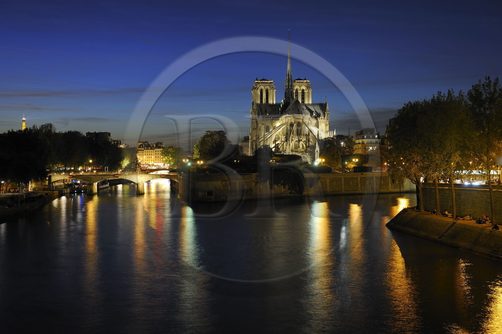 France, Paris (75), les rives de la Seine, classées Patrimoine Mondial de l'UNESCO, la cathédrale Notre-Dame