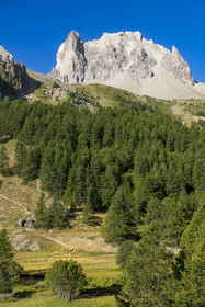France, Hautes Alpes (05), le Briançonnais, Névache, randonneurs dans la vallée de la Clarée, le massif des Cerces en arrière-plan