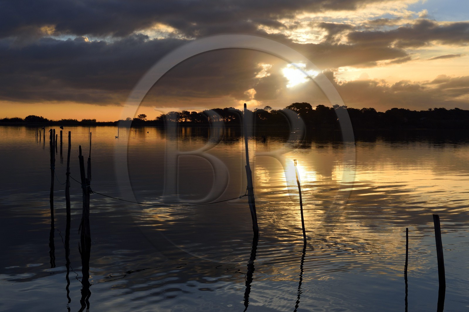 France, Haute Corse, the pond of Biguglia (Stagnu di Chiurlinu) at dawn, nature reserve of Corsica (RNC)