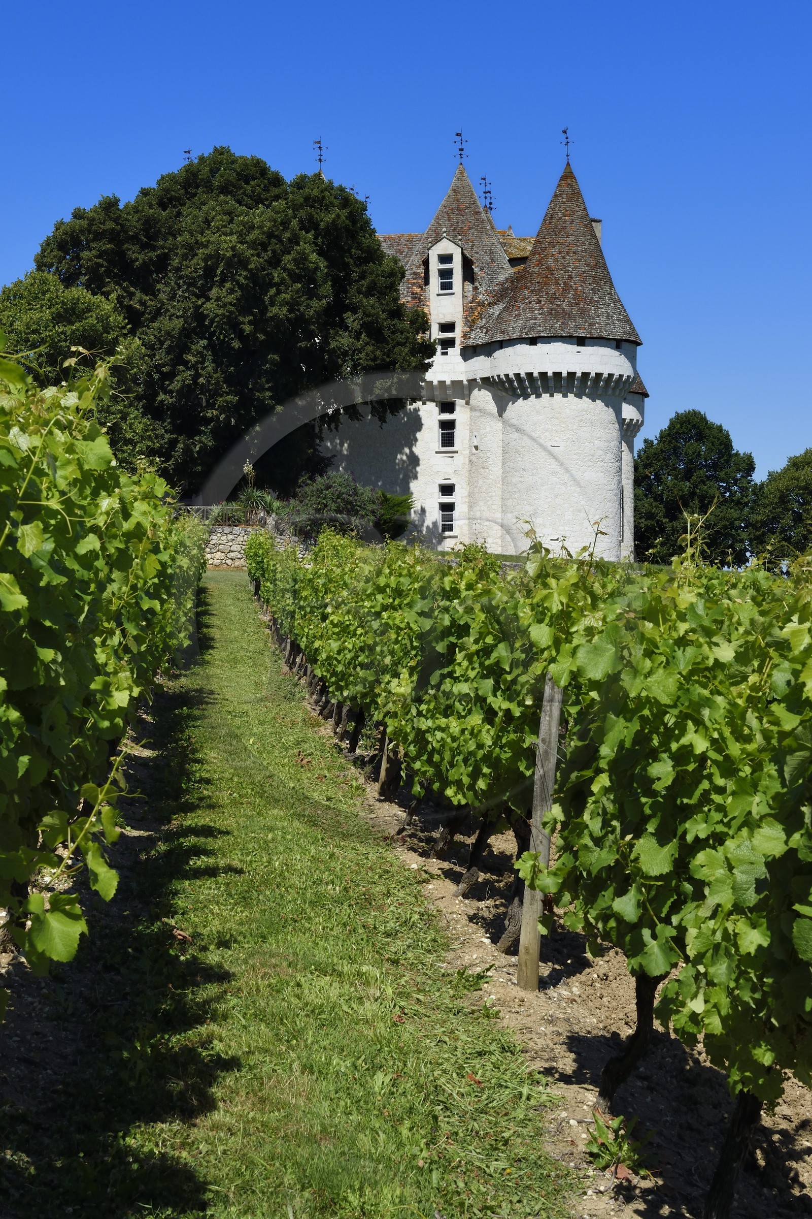 France, Dordogne, Purple Perigord, the castle of Monbazillac among the vineyards