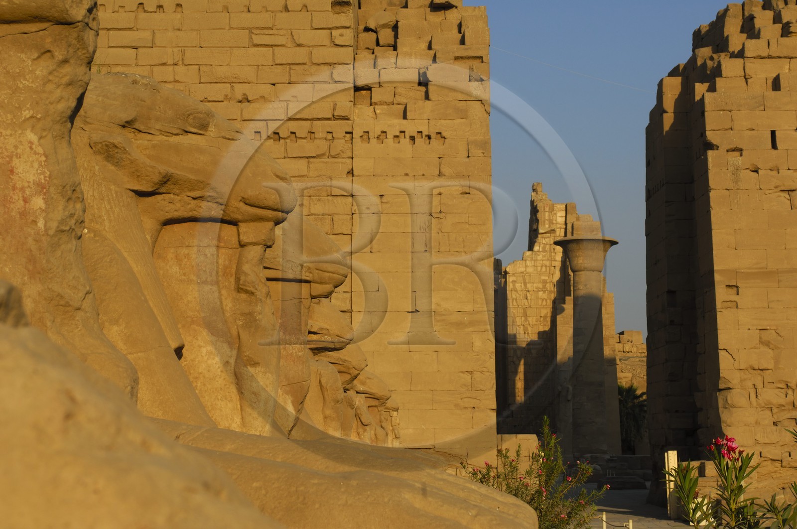 Egypte, Haute Egypte, vallée du Nil, Louxor, Karnak, classé Patrimoine Mondial de l'UNESCO, allée des sphinx et colonne du kiosque de Taharqa