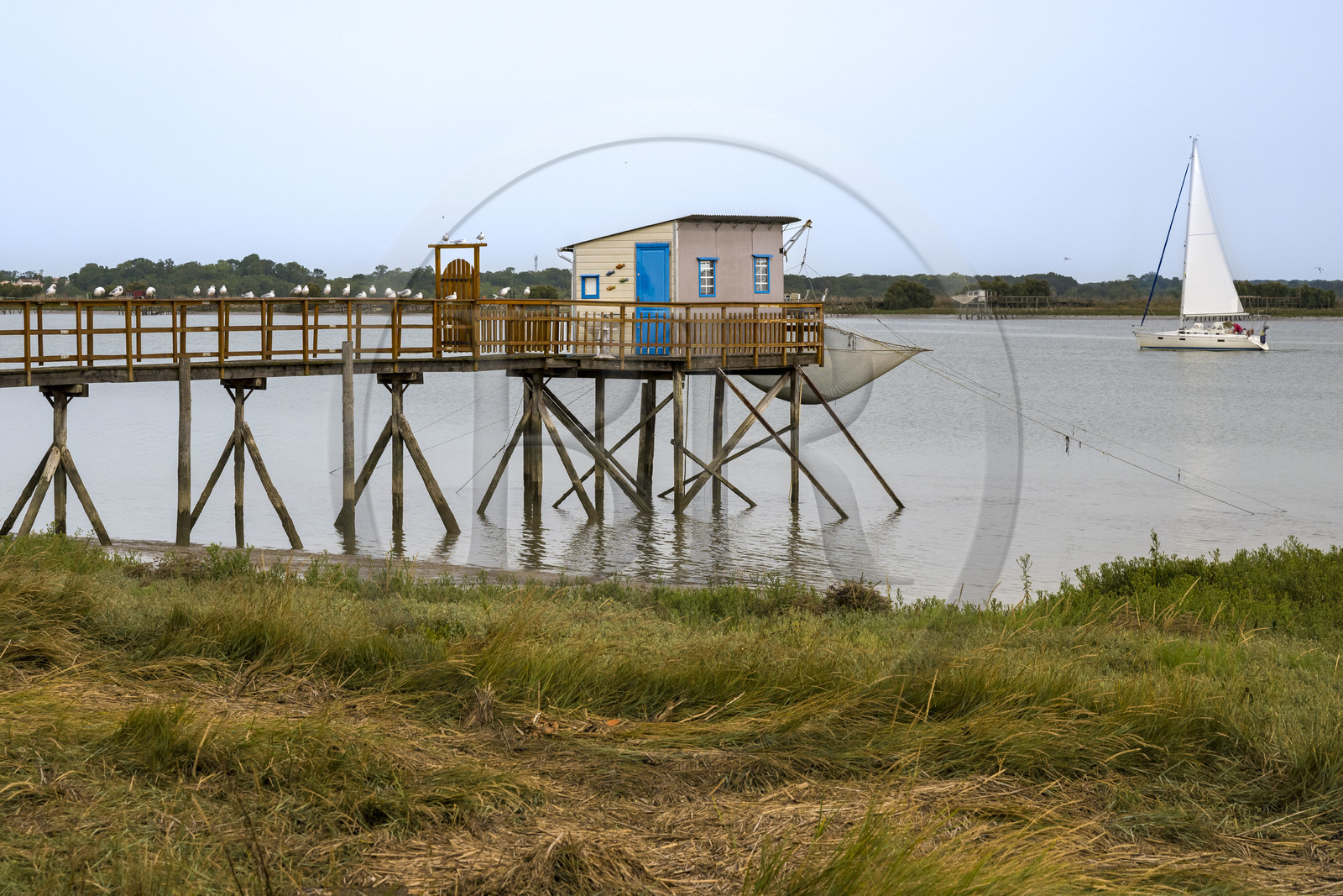 France, Charente-Maritime (17), Saint-Nazaire-sur-Charente, cabanes sur pilotis appelées carrelets en bordure de la Charente