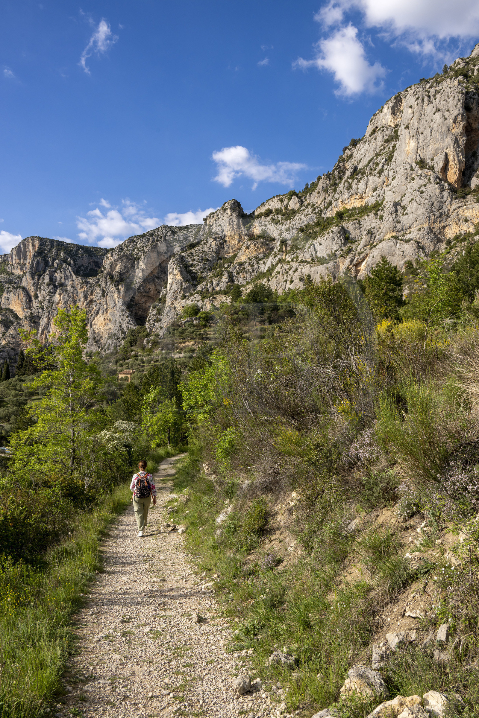 France, Alpes-de-Haute-Provence (04), Parc Naturel Régional du Verdon, Moustiers-Sainte-Marie, labellisé Les Plus Beaux Villages de France, sentier sous la falaise