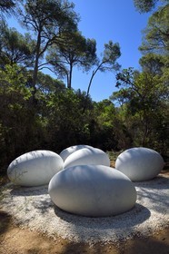 France, Var (83), Iles d'Hyères, parc national de Port Cros, Ile de Porquerolles, la Fondation Carmignac, La Couvée (2018) de Nils Udo