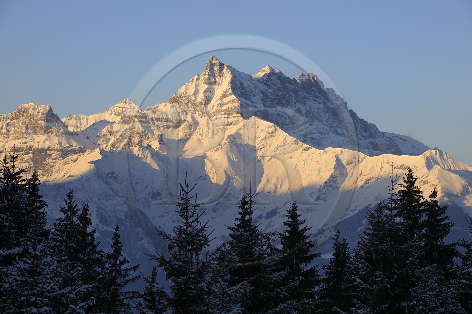 Suisse, Canton du Valais, les Dents du Midi vu depuis Villars sur Ollon