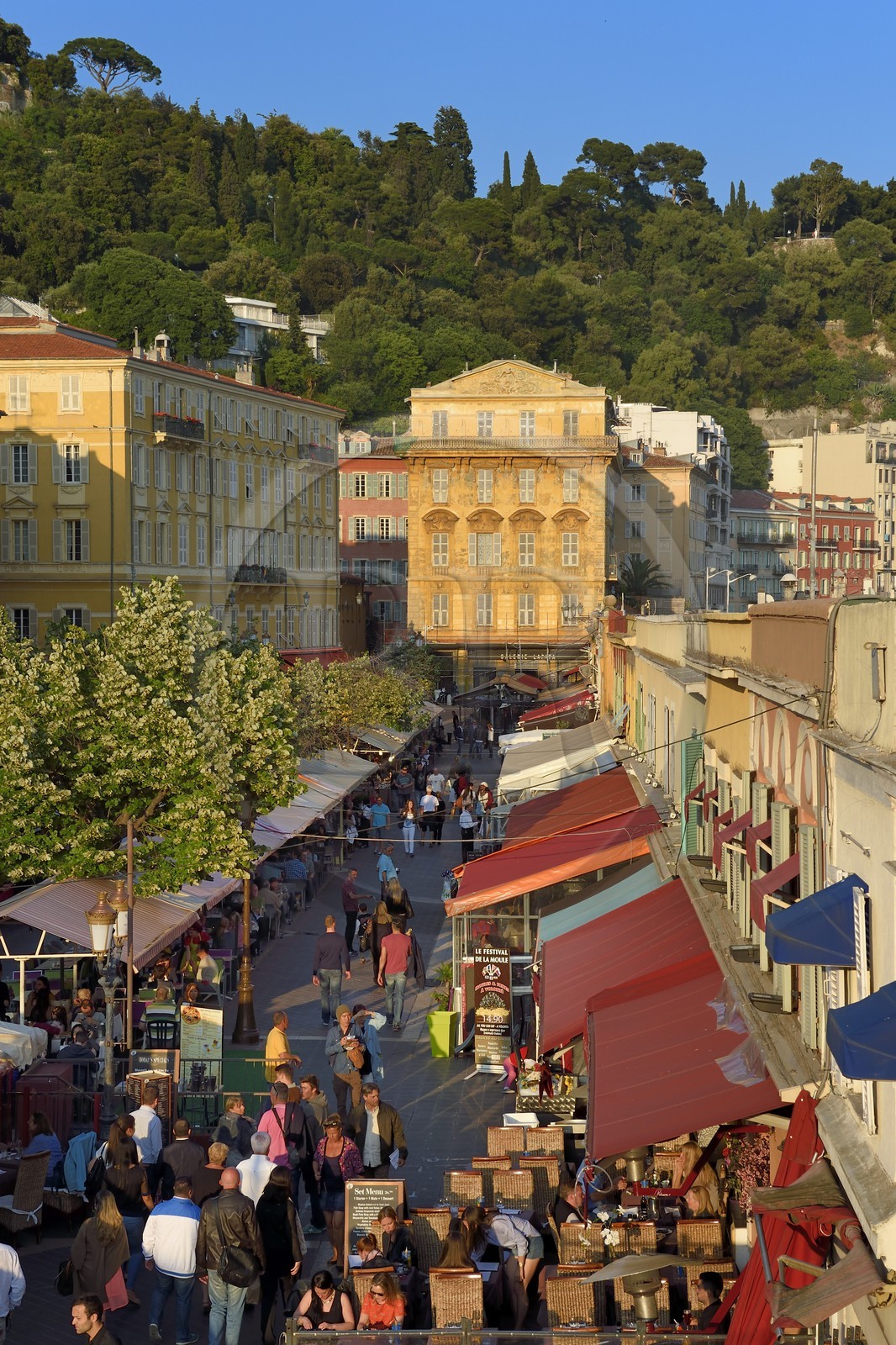France, Alpes-Maritimes (06), Nice, vieille ville, marché du cours Saleya, le palais Cais de Pierlas enarrière plan