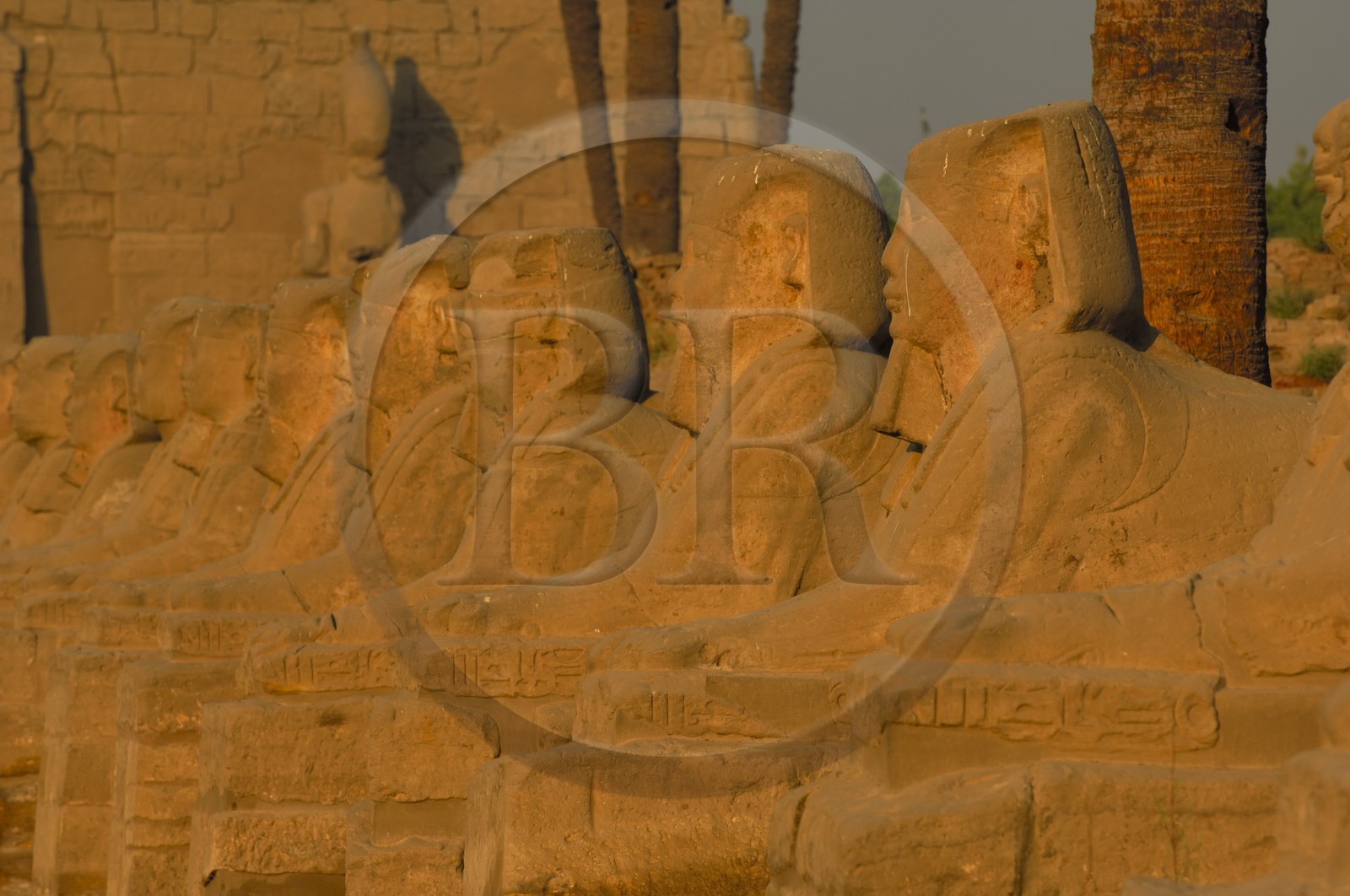 Egypte, Haute Egypte, vallée du Nil, temple de Louxor classé Patrimoine Mondial de l'UNESCO, le Dromos