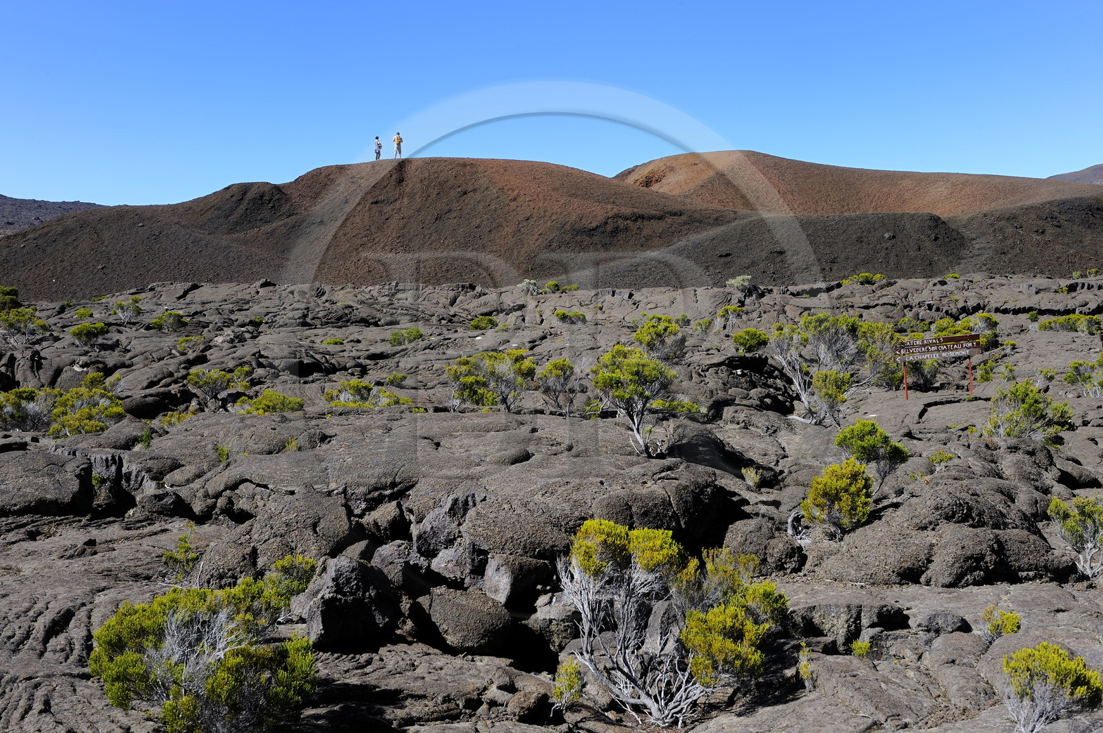 France, Reunion island (French overseas department), Piton de la Fournaise, listed as World Heritage by UNESCO volcano, Formica Leo crater and lava flows inside the Enclos