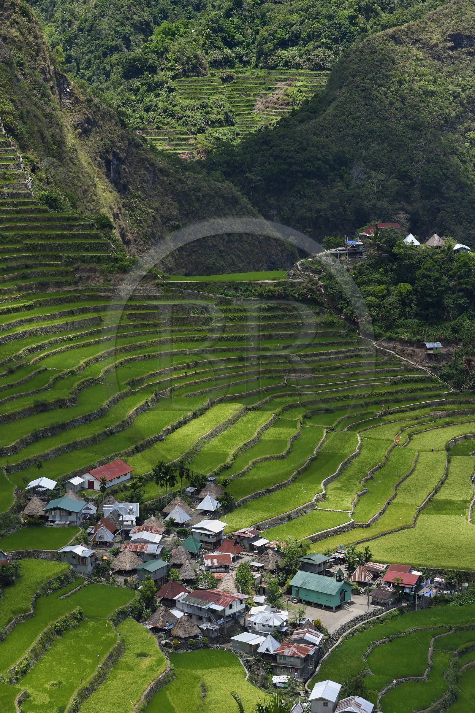 Philippines, Ifugao province, Banaue rice terraces around the village of Batad, listed as World Heritage by UNESCO, fed by an ancient irrigation system from the rainforests above the terraces