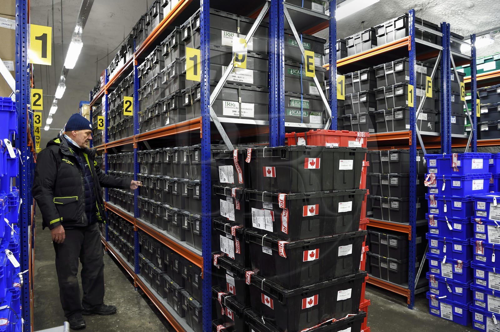 Norvège, Svalbard, Spitzberg, Longyearbyen, la Réserve mondiale de semences du Svalbard (banque de graines du Global Seed Vault), salle de stockage des semences artificiellement maintenue à -18°C, près de 900000 échantillons ont été déposés, provenant de 200 pays d'origine et de 73 instituts déposants