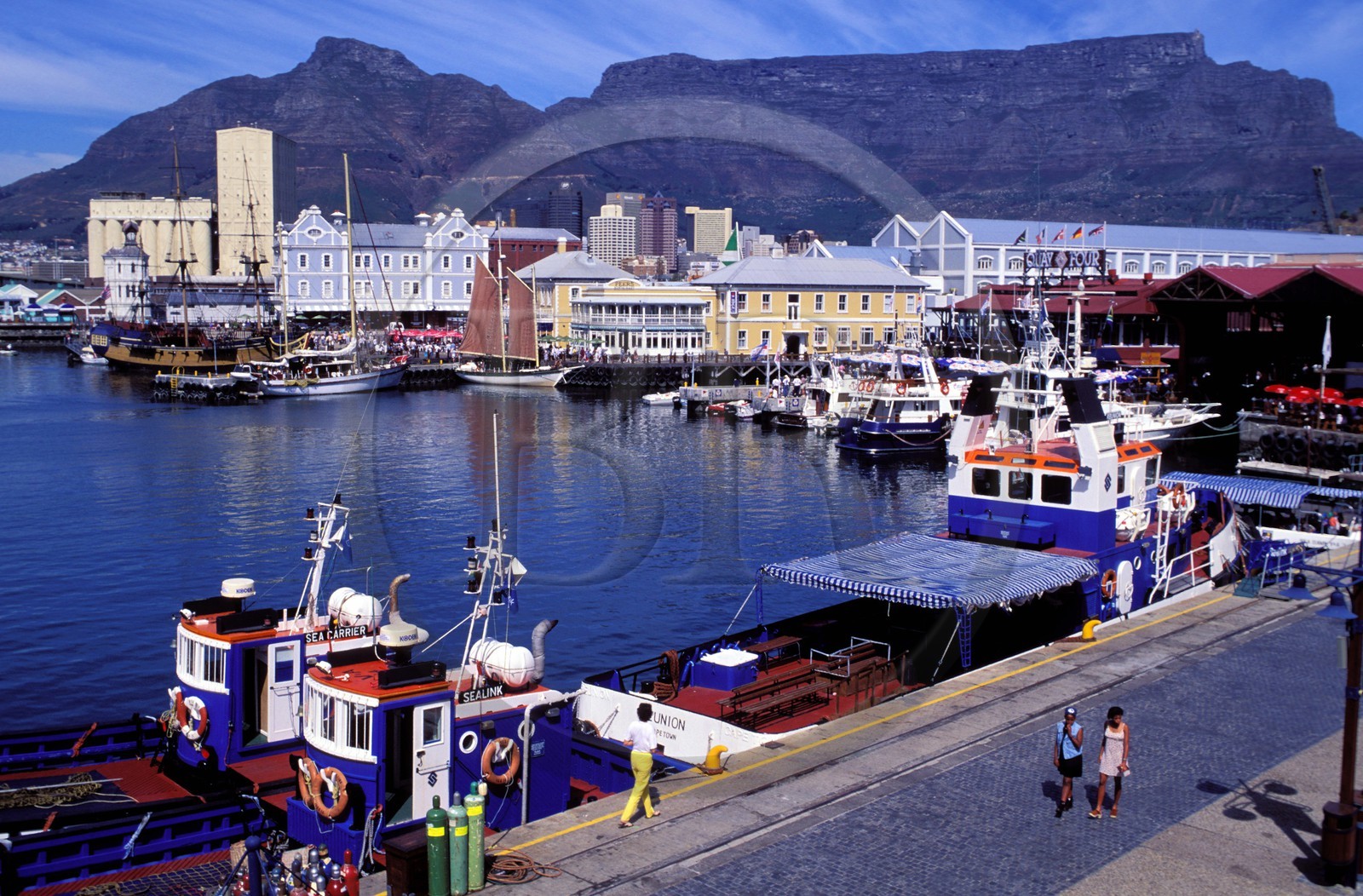 Afrique du Sud, péninsule du Cap, le port de la ville du Cap
