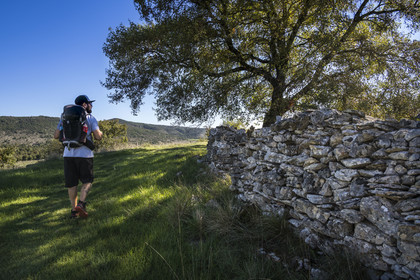 France, Hérault (34), les Causses et les Cévennes, paysage culturel de l'agro-pastoralisme méditerranéen inscrit au Patrimoine Mondial de l'UNESCO, Saint-Maurice-Navacelles, randonneur sur le GR 7 sur des sentiers longeant des murs de pierres sèches
