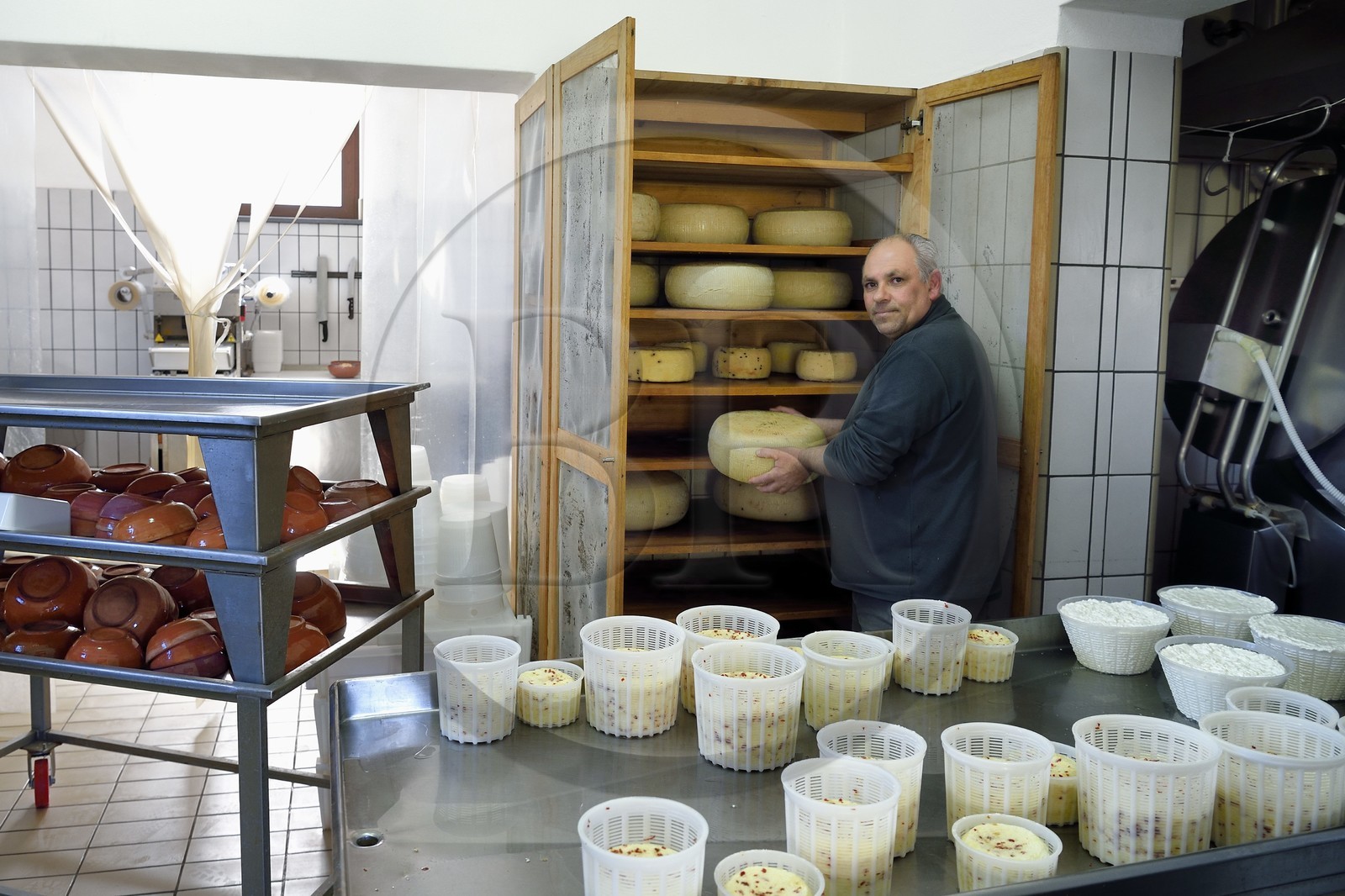 Italy, Sicily, Aeolian Islands, listed as World Heritage by UNESCO, Vulcano Island, La Vecchia Fattoria, the shepherd and goat cheese maker Fabrizio Lo Piccolo