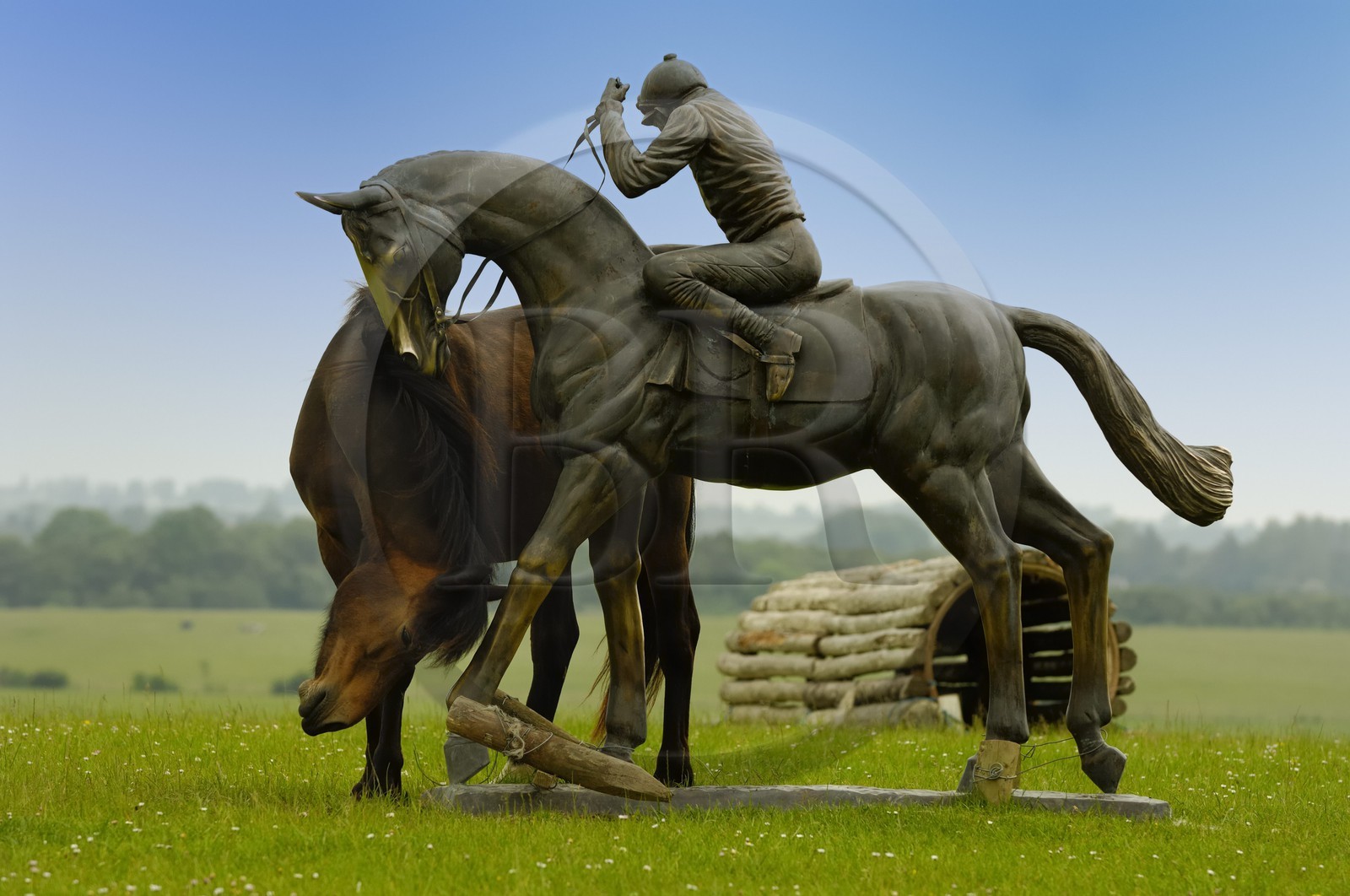 Republic of Ireland, County Galway, an equestrian statue and a horse