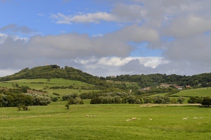 France, Meurthe-et-Moselle, Saintois region, colline de Sion-Vaudemont (hill of Sion), the Notre Dame de Sion basilica at the top of the hill
