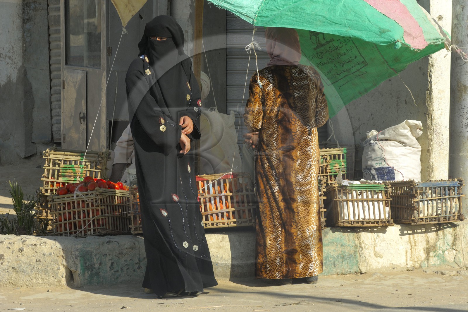 Egypt, Libyan Desert, Farafra, veiled woman