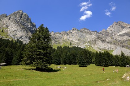 Suisse, canton de Vaud, Villars-sur-Ollon, vallée de Solalex dans le Parc naturel des Muverans
