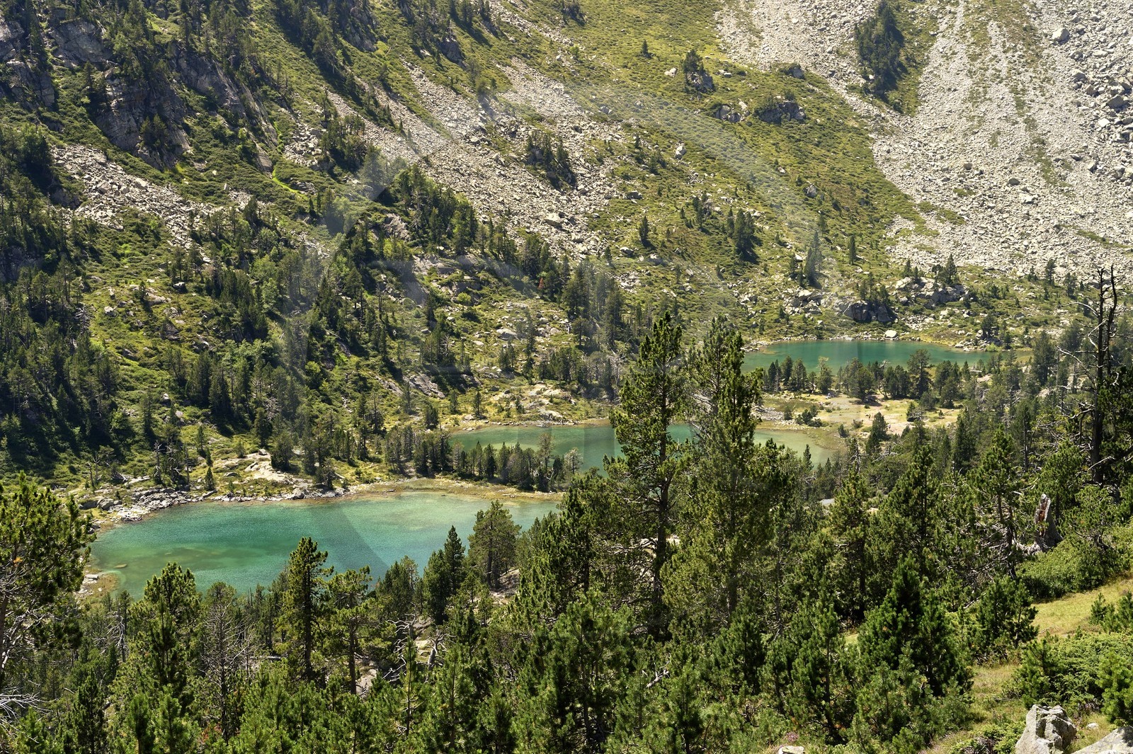 France, Hautes Pyrenees, Saint Lary Soulan, Neouvielle National Nature Reserve, Neouvielle lakes hike, Les Laquettes small lakes