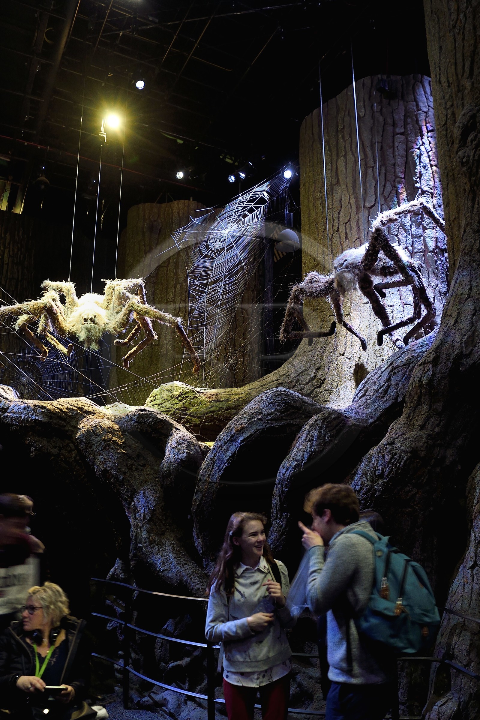 United Kingdom, Hertfordshire, Leavesden, Leavesden Film Studios, Harry Potter Studio Tour London, the scene of the eight Harry Potter movies' making of, the giant Aragog spiders in the mythical Forbidden Forest