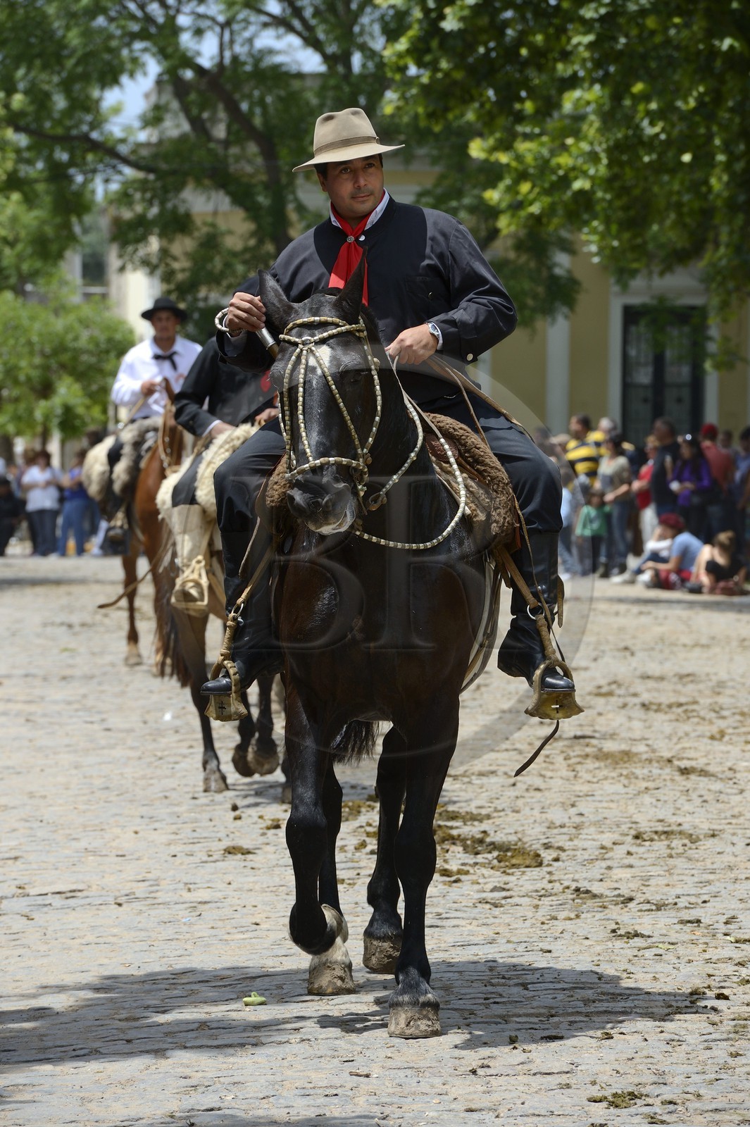 Argentine, province de Buenos Aires, San Antonio de Areco, fête du Jour de la Tradition (Dia de la Tradicion), gaucho à cheval défilant en habit traditionnel