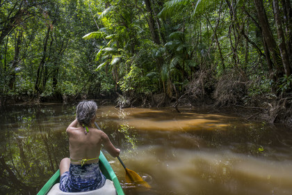 France, Guyane, Kourou, camp Maripas dans la forêt tropicale, découverte en canoé d'une crique, petite rivière, affluent du fleuve Kourou