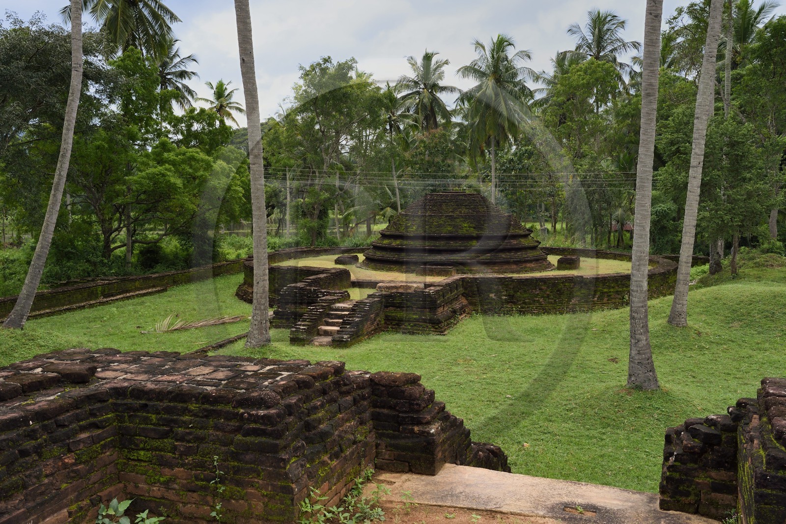 Sri Lanka, province du centre, district de Padeniya, Ruines du XIIème siècle de la capitale temporaire de Paduwasnuwara, dagoba dans le quartier des moines