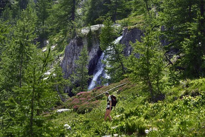 France, Alpes-Maritimes (06), parc national du Mercantour, vallée de la Valmasque, randonneur passant devant une cascade