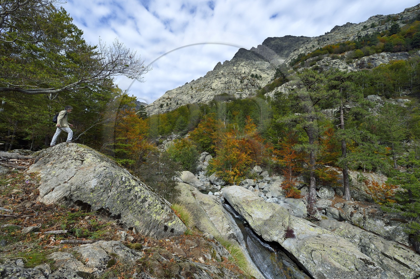France, Haute-Corse (2B), Vivario, GR 20, étape entre le refuge de l'Onda et Vizzavona, foret de Vizzavona, les cascades des anglais, groupe de cascades dans la vallée de l'Agnone au pied du Monte d'Oro