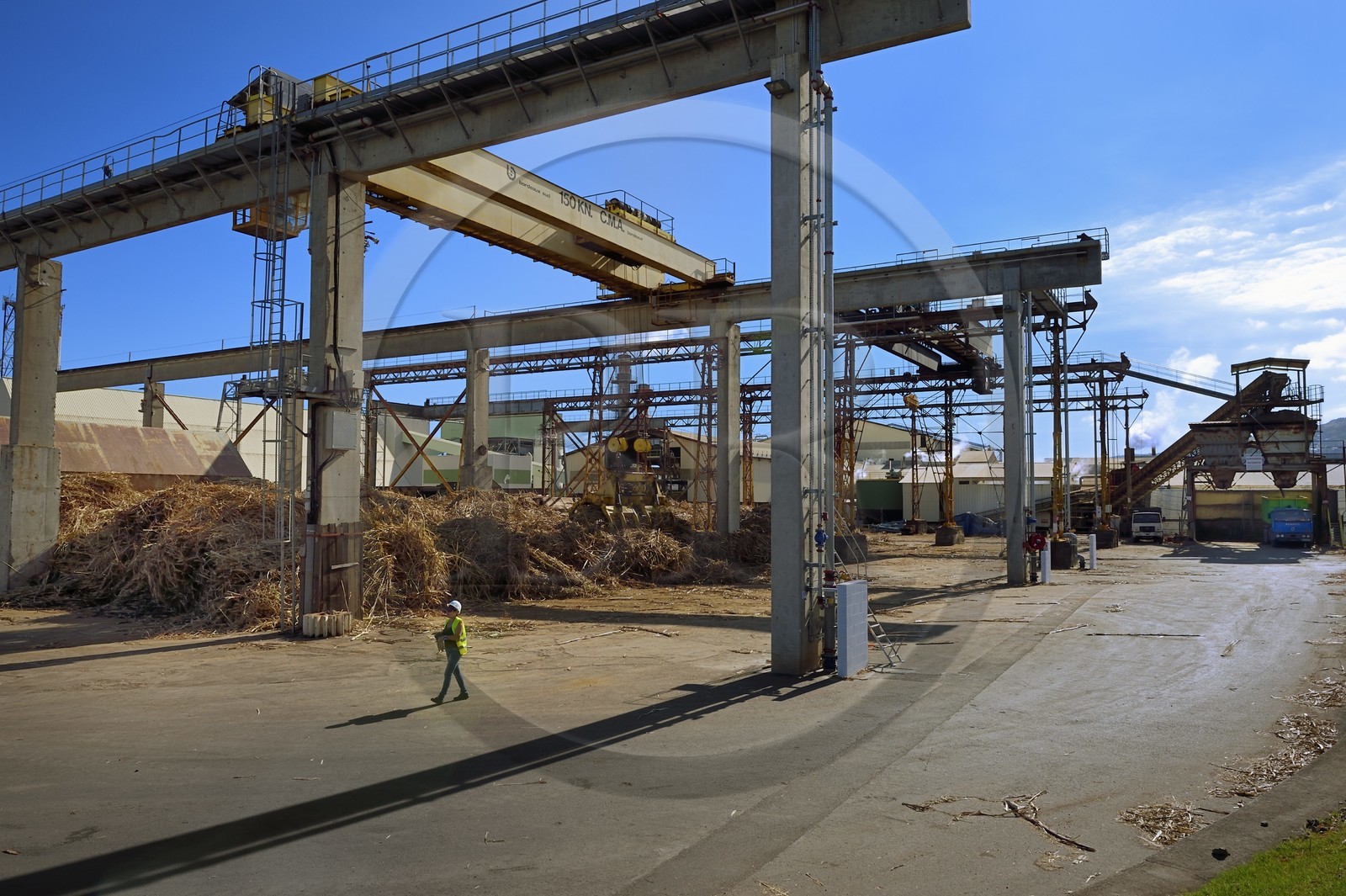 France, Reunion island (French overseas department), Saint-Louis, Le Gol sugar factory, transfer site of sugar cane to the factory