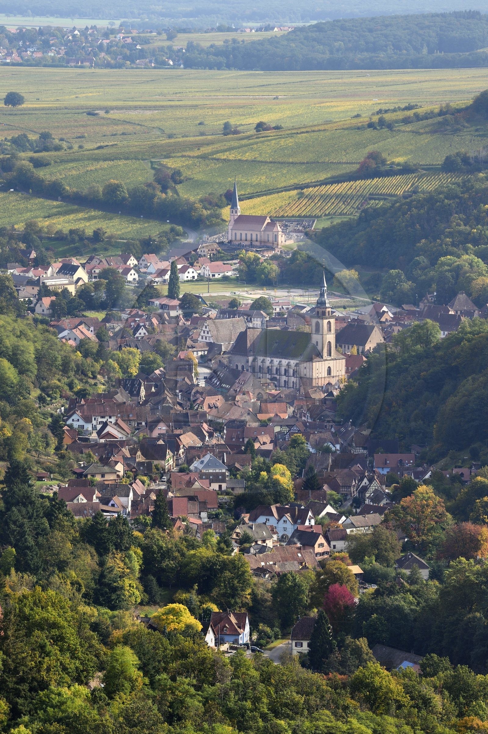 France, Bas Rhin, Alsace Wine Route, Andlau, view of the village and the abbey church of Saint-Pierre-et-Saint-Paul (11th-18th centuries) seen from the castle of Spesbourg