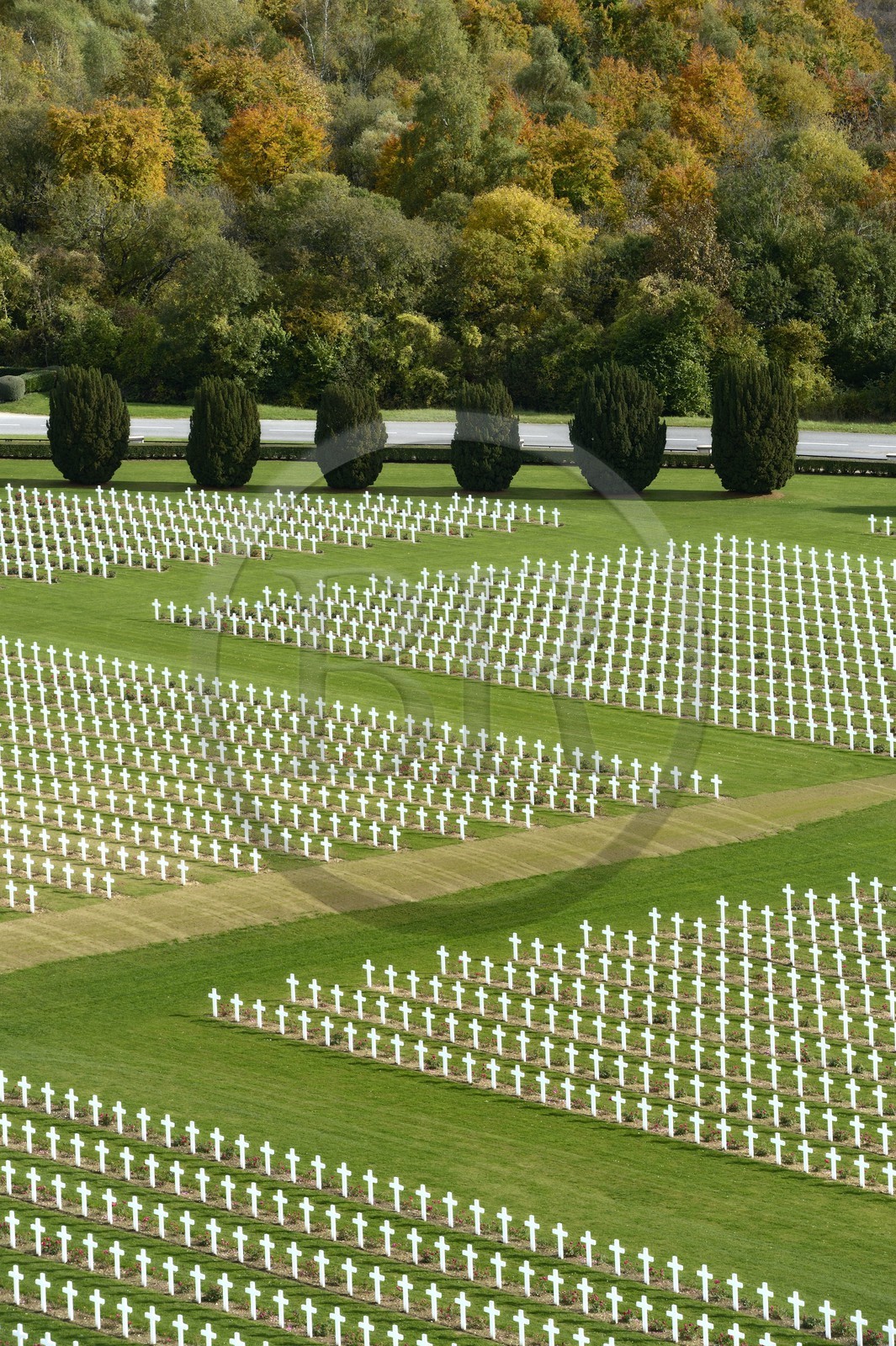 France, Meuse (55), Douaumont, bataille de Verdun, ossuaire de Douaumont, nécropole nationale, alignement de tombes de soldats