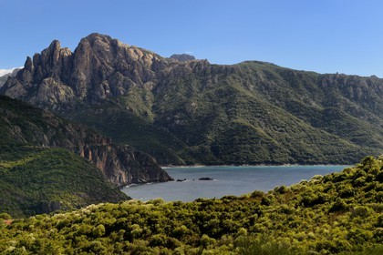 France, Corse du Sud, Golfe de Porto, listed as World Heritage by UNESCO, the Capo d'Orto mountain in the background