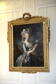 France, Yvelines (78), château de Versailles, classé Patrimoine Mondial de l'UNESCO, le domaine de Marie-Antoinette, le Petit Trianon, portrait de Marie-Antoinette à la rose d'Elisabeth Vigée-Le Brun
