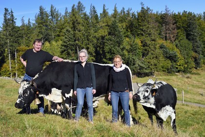 France, Haut Rhin, Wasserbourg, Ferme-auberge (farm-inn) Buchwald, the marcaire Michel Wehrey, his wife Mireille and his daughter Julie with their Vosgienne race cows