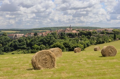 France, Côte d'Or (21), Flavigny-sur-Ozerain