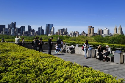 Etats-Unis, New York, Manhattan, East Side, les immeubles de Midtown et Central Park vus depuis la terrasse du Metropolitan Museum of art (MET)