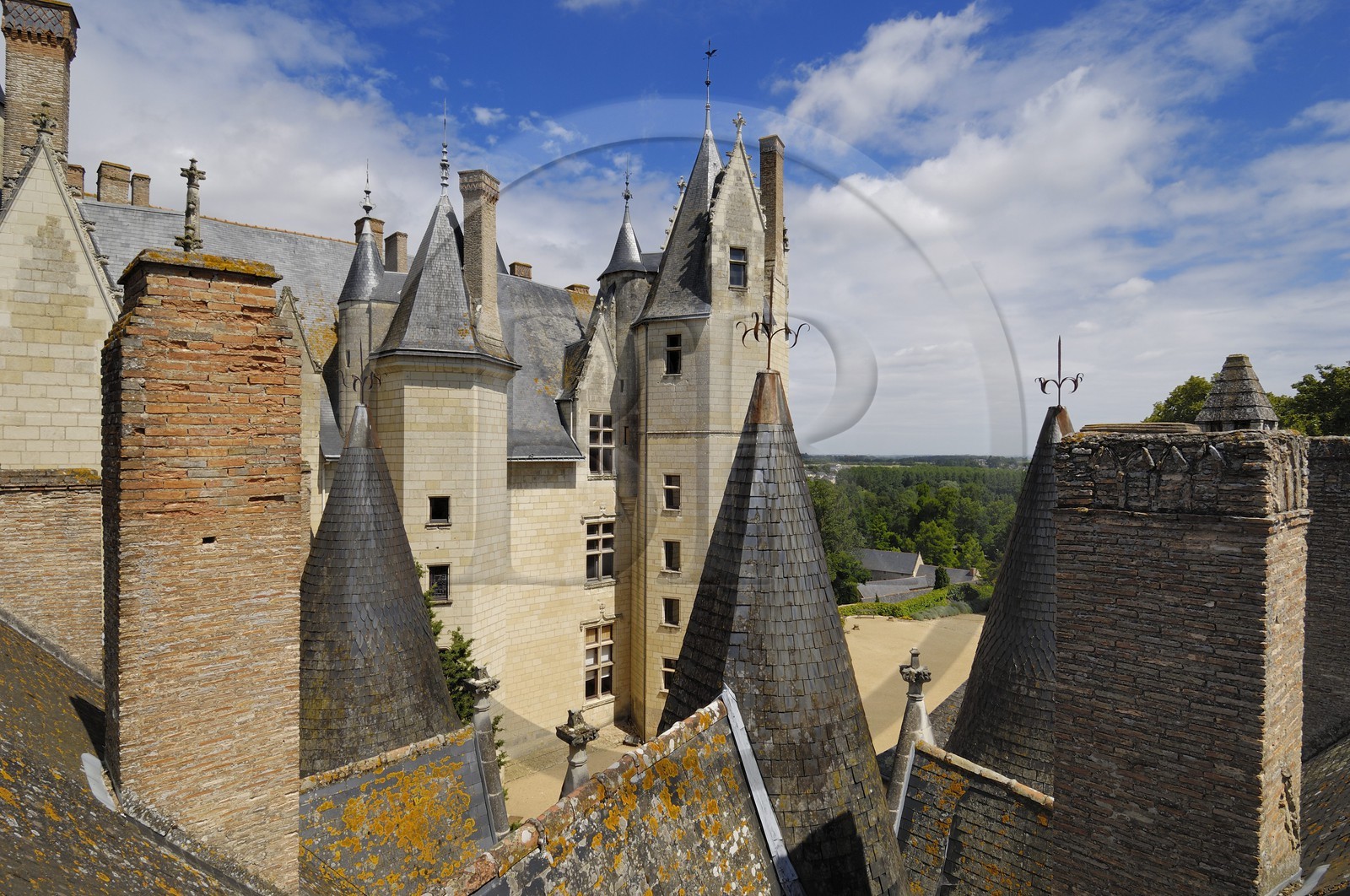 France, Maine et Loire (49), château de Montreuil-Bellay
