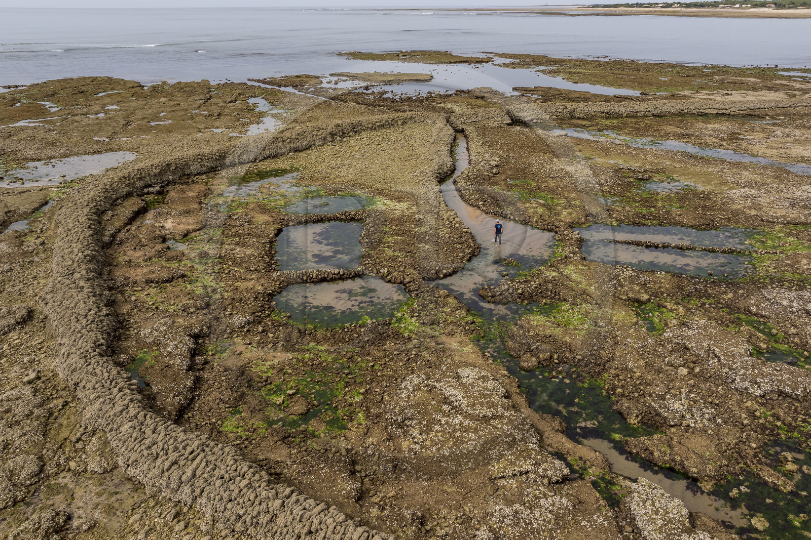 France, Charente Maritime, Oleron island, Saint Georges d'Oléron, Sables Vignier beach at low tide, the Basses fish lock (aerial view)