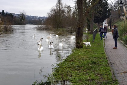 France, Val-de-Marne (94), Le Perreux-sur-Marne, les bords de Marne inondés