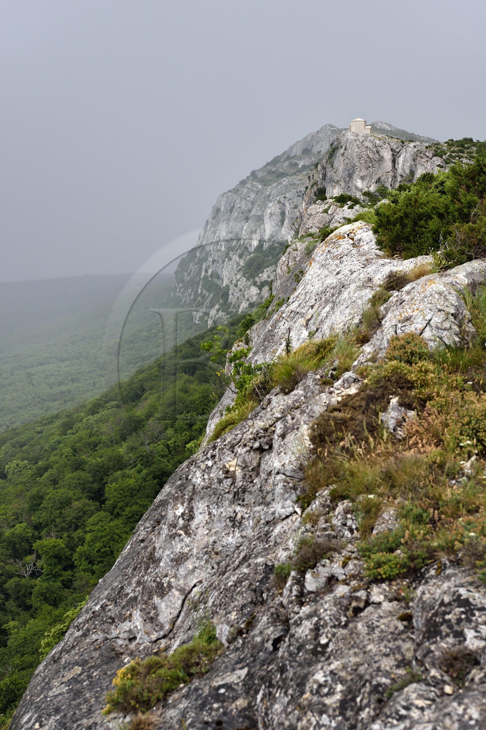 France, Var, Plan d'Aups Sainte Baume, Sainte-Baume Regional Nature Park, Sainte-Baume Massif, top of the cliff overlooking the relict forest and the chapel of Saint-Pilon in the background