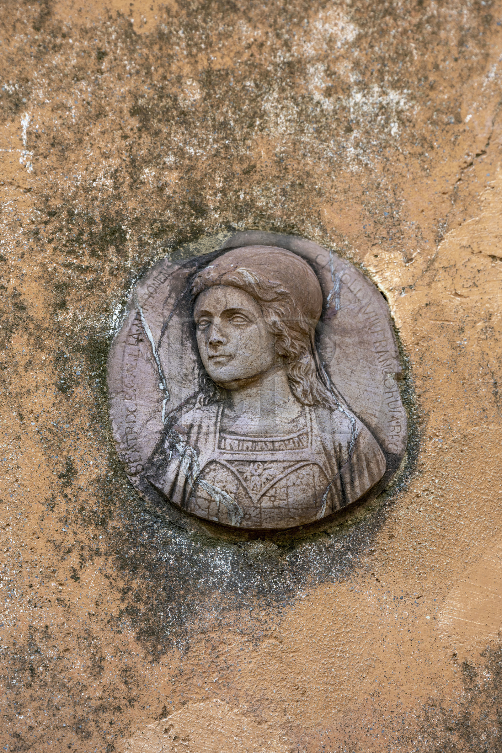 Italie, Ligurie, Province d'Imperia, Vintimille, Jardin botanique Hanbury, Palazzo Orengo, incrustations de bas-reliefs datant de la Renaissance dans les murs de la villa