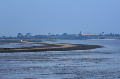 France, Charente-Maritime (17), Ile Madame, la Passe aux Boeufs à marée basse