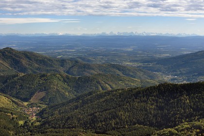 France, Vosges, Ballons des Vosges Regional Natural Park, Saint Maurice sur Moselle, view from the Tete des Perches mountain peak, the village of Rimbach pres Masevaux, the plain of Alsace and the Alps in the background