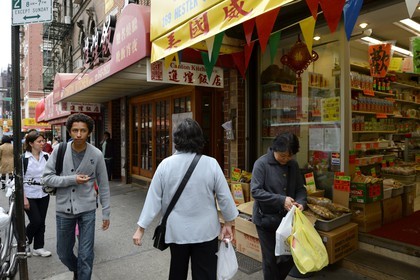 Etats-Unis, New York, Manhattan, Chinatown, commerces dans Hester Street