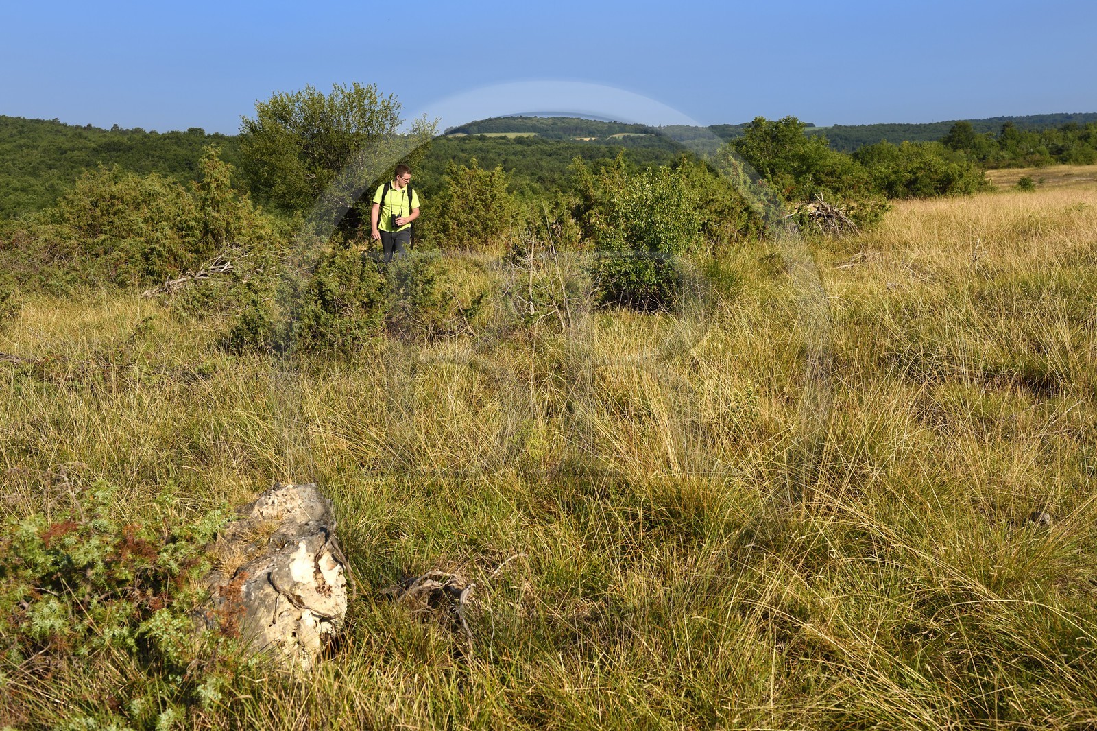 France, Dordogne (24), parc naturel régional Périgord Limousin, Périgord Vert, commune de La Rochebeaucourt-et-Argentine, plateau d'Argentine, Cédric Devilleger Chargé de mission Natura 2000 Dronne Argentine dans la pelouse cacicole habitat d'interet communautaire