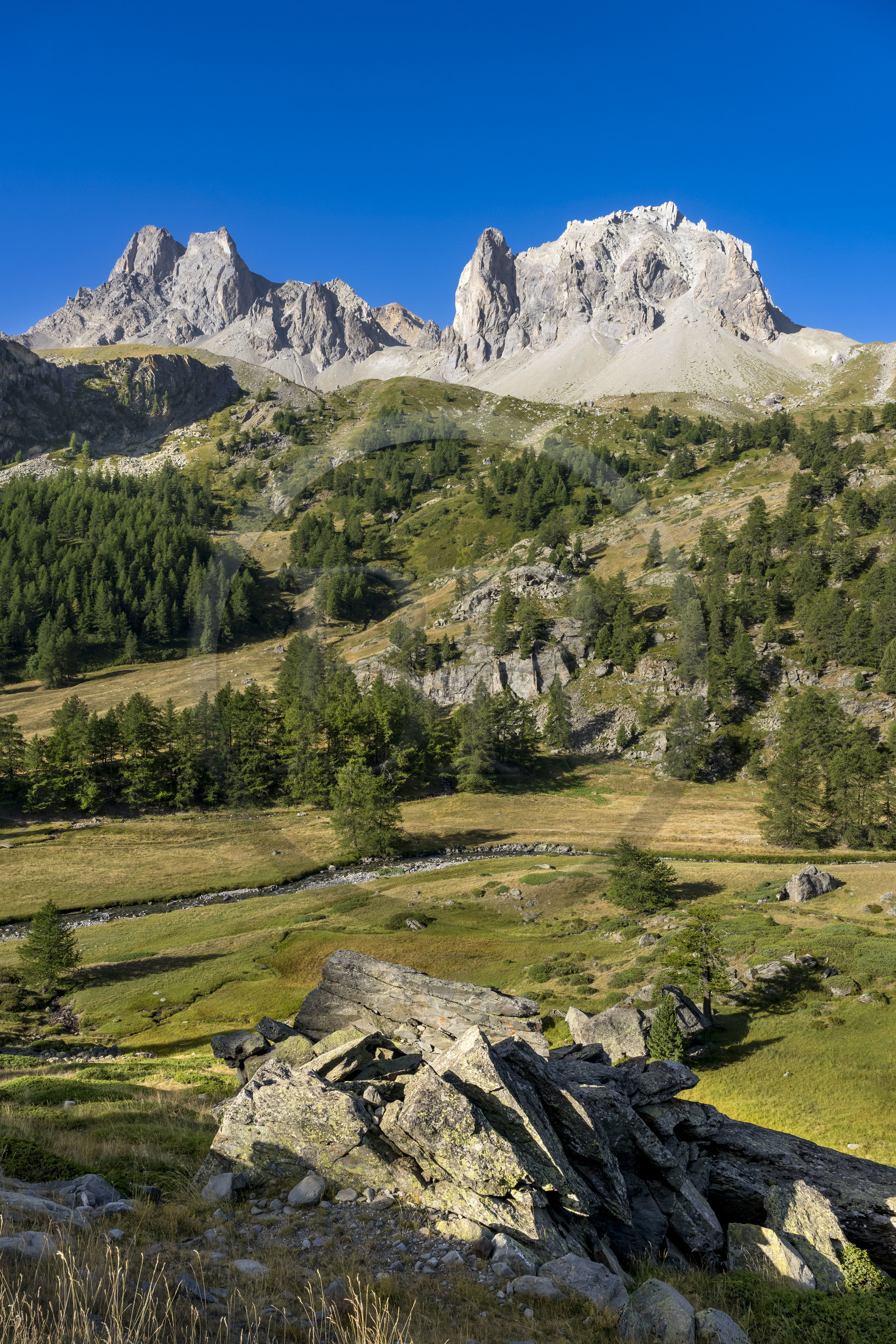 France, Hautes Alpes (05), le Briançonnais, Névache, la vallée de la Clarée, le massif des Cerces en arrière-plan