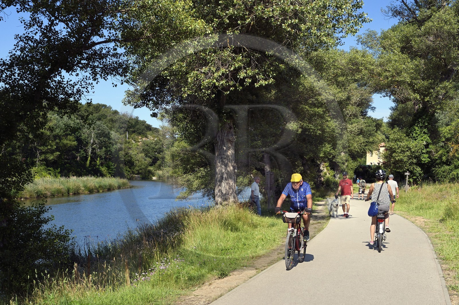 France, Alpes de Haute Provence, Parc Naturel Regional du Verdon (Natural Regional Park of Verdon), Gréoux les Bains, the banks of the Verdon river bike path