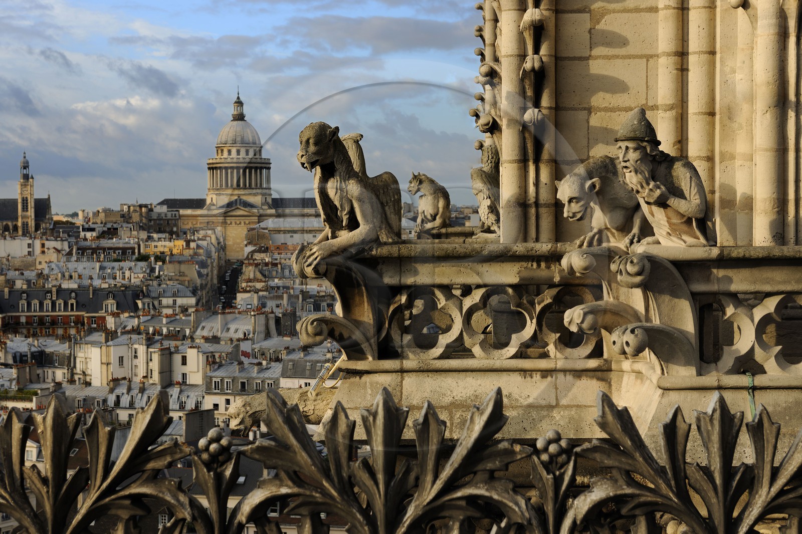 France, Paris, ile de la Cite, Notre-Dame Cathedral, the chimeras observe the city among which the walrus and the alchemist