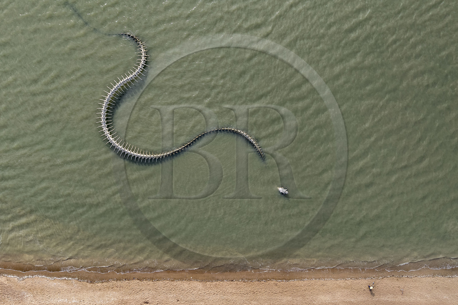 Saint-Brevin-les-Pins, Mindin, collection d'art contemporain à ciel ouvert Estuaire, le Serpent d'Océan réalisé par l'artiste chinois Huang Yong Ping représentant un long squelette de serpent de mer, installé sur l'estran et apparaissant au rythme des marées (vue aérienne)
